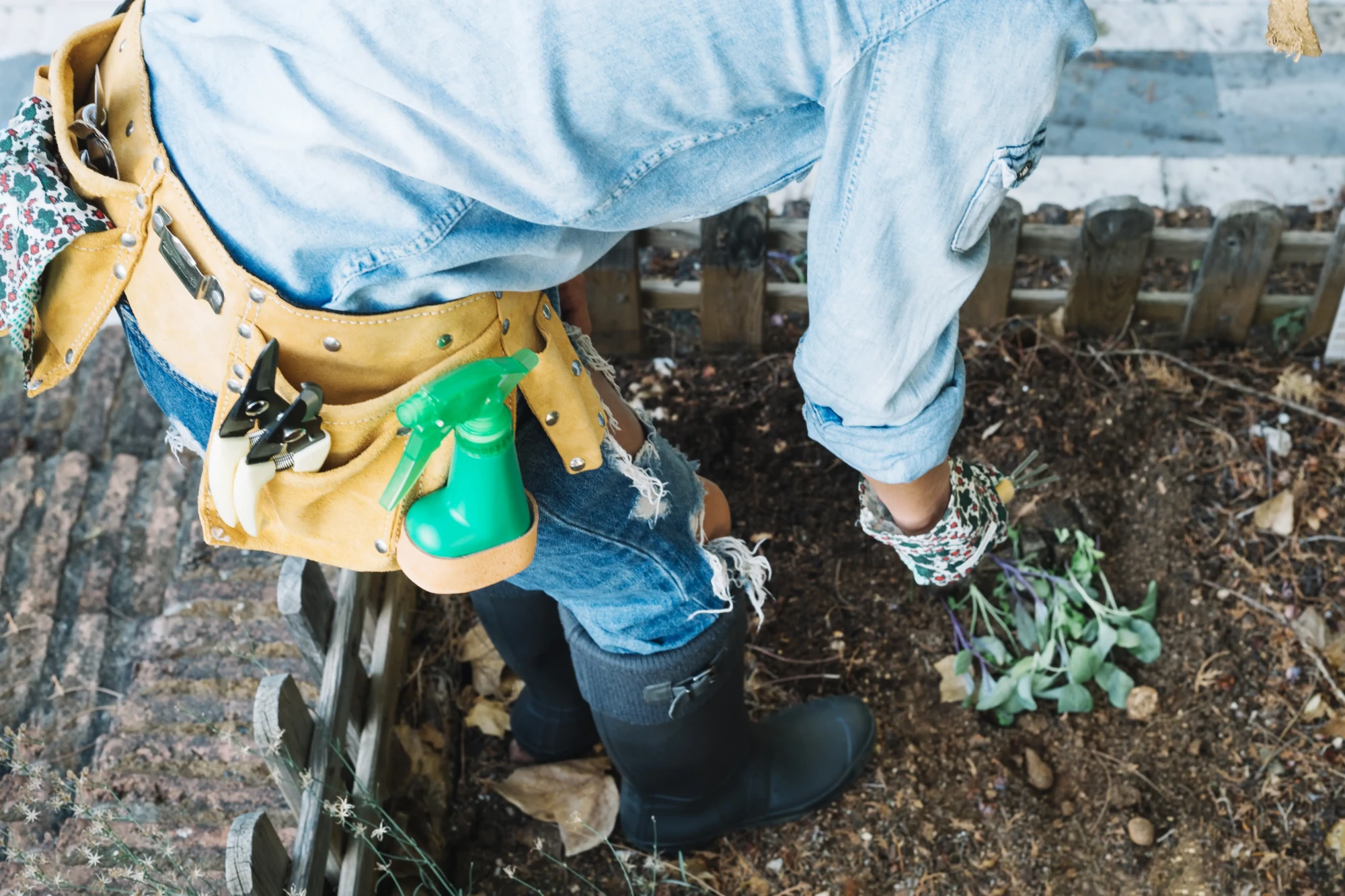 Sewer Line Services (2)